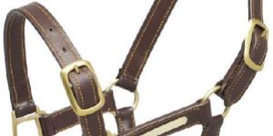 Elite Designer Halter by Red Haute Horse