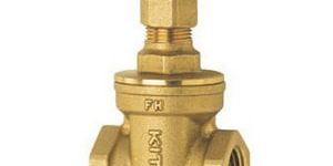 Brass Gate Valve