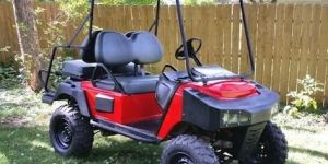 Electric Golf Cart