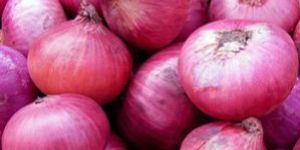 Red Onions