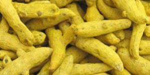 Turmeric