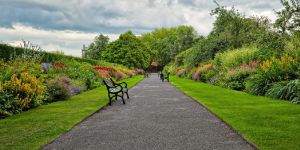 ROAD MAKING CONTRACTORS