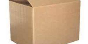 Export Carton Box