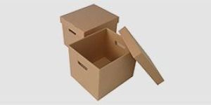 Carton Box
