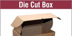 Die Cut Box