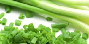 Spring Onion