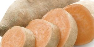 Sweet Potato