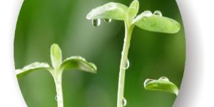 Pesticide Fertilizer