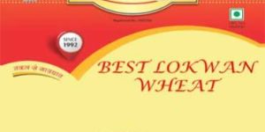 Lokwan Wheat