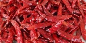 Red Chilli Whole