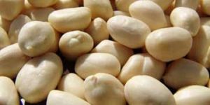 Whole Blanched Peanuts