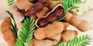 Tamarind