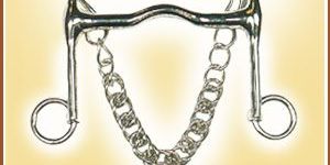 Horse Riding Pelham Bit