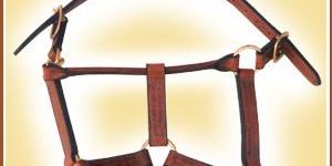 Horse Stable Head Collar