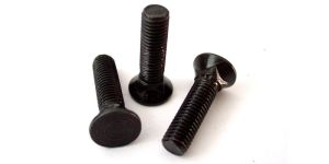 Countersunk Head Carriage Bolt