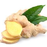 GINGER EXTRACT