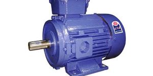 Indian Standard Motor