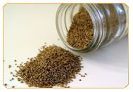 Celery Seeds