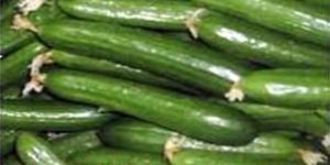 Cucumber