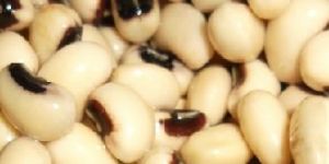 Pulses, Grains, Cereals