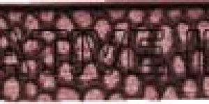 Dark Brown Flat Leather Lace