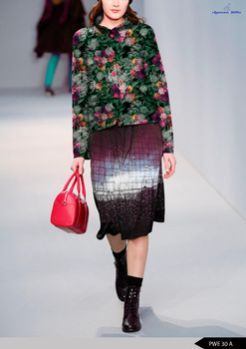 Garment Ladies Dress