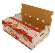 Vegetable and Fruit Boxes Printed