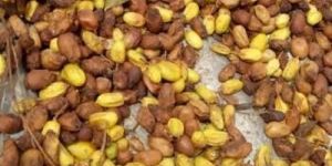 Neem Seeds (Niboli)