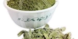 Senna Leaves Powder