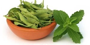 Stevia Leaf