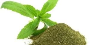 Stevia Leaf Powder