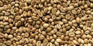 Robusta Coffee Beans