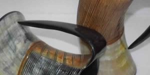 Horn Tankard 01