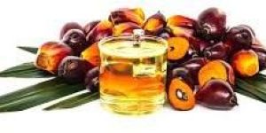 Organic Palm Oil