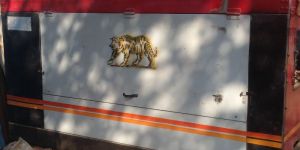 Elgi 450/150 air compressor