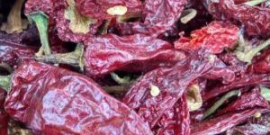 Organic Kashmiri Red Chilli