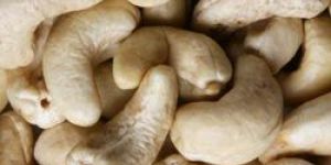 White Wholes Cashew w320