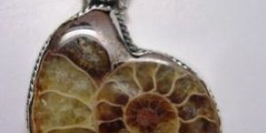 Ammonite Silver Pendant