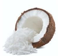 Vegan Coconut Milk Powder