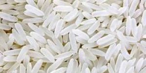 Sona Masoori Raw Rice