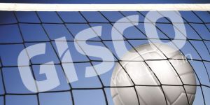 Volleyball Net Olympic