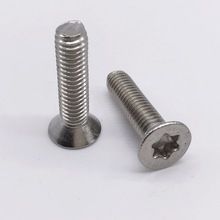 Torx Screw Silver Flat Head