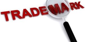 Trademark Services