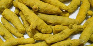 Raw Turmeric Fingers