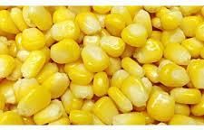Yellow Sweet Corn