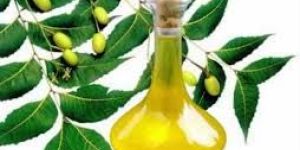 Crude Neem Oil