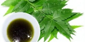 Herbal Neem Oil