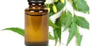 Refined Neem Oil