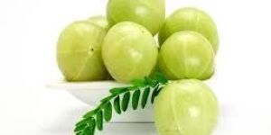 Indian Gooseberry