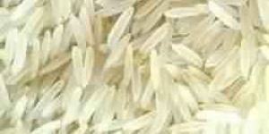 Organic Basmati Rice